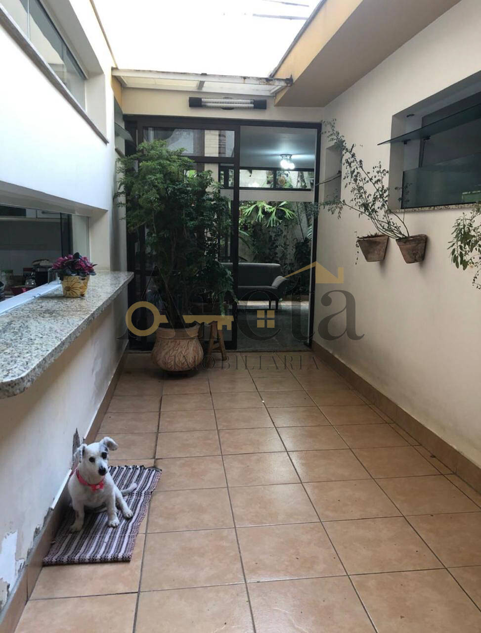Casa, 4 quartos, 288 m² - Foto 26