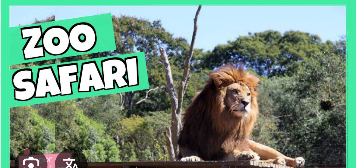 Apartamento, 2 quartos, 62 m² - Foto 20