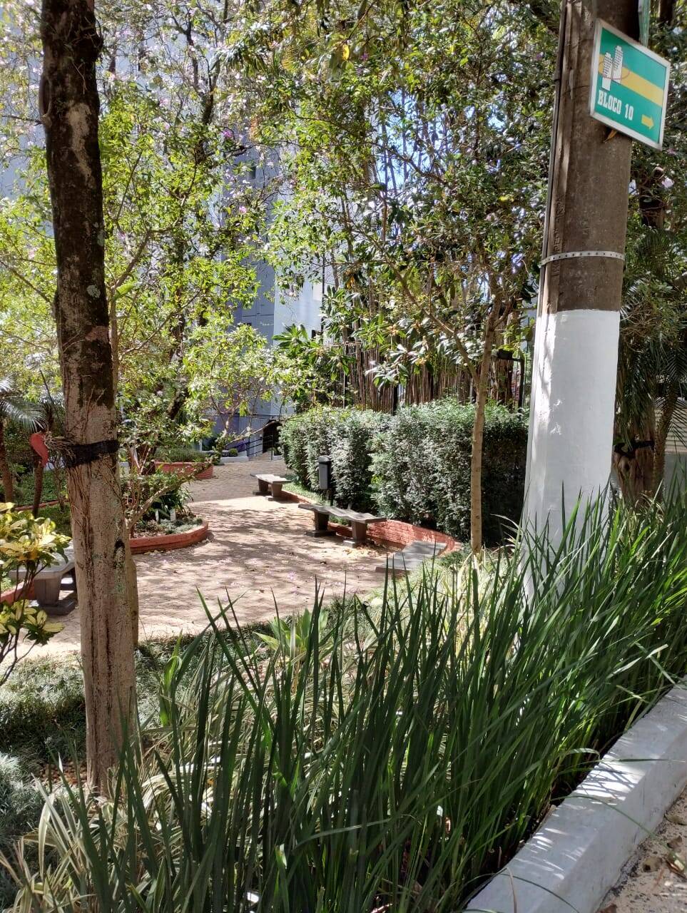 Apartamento, 2 quartos, 62 m² - Foto 2