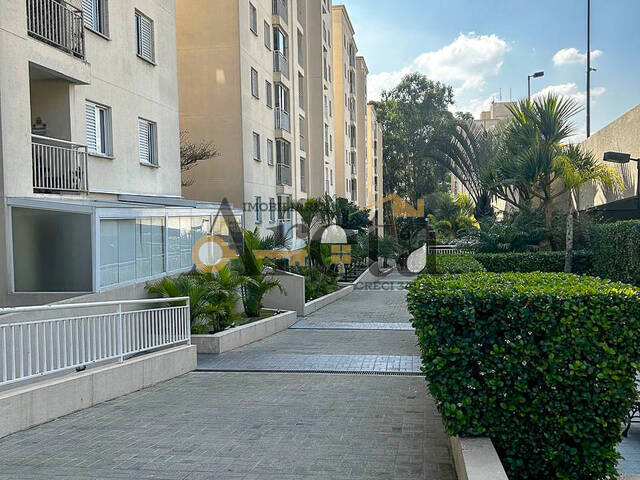 #101Pedro c - Apartamento para Venda em São Paulo - SP - 2