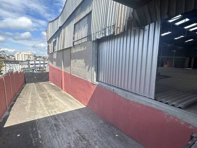 #119 DIADEM - Galpão para Locação em Diadema - SP - 3